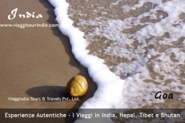 Sea Trips in India