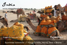 Viaggi in Rajasthan