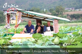 Foto India, Shikara nel Lago Dal, Srinagar, Kashmir