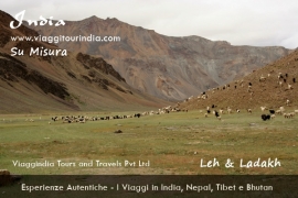 Viaggio Fotografico, Viaggio Avventura, Viaggio Ladakh India