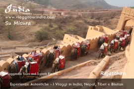 viaggi in Nord India, Rajasthan